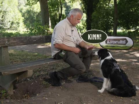 PURINA AdVENTuROS™ Trick "Kinn Rast" mit Hundetrainer Karl Weissenbacher