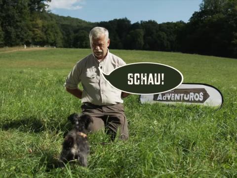 PURINA AdVENTuROS™ Trick "Schau" mit Hundetrainer Karl Weissenbacher