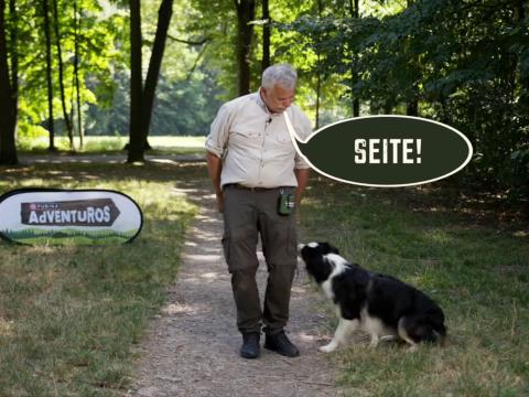 PURINA AdVENTuROS™ Trick "Seite wechseln" mit Hundetrainer Karl Weissenbacher